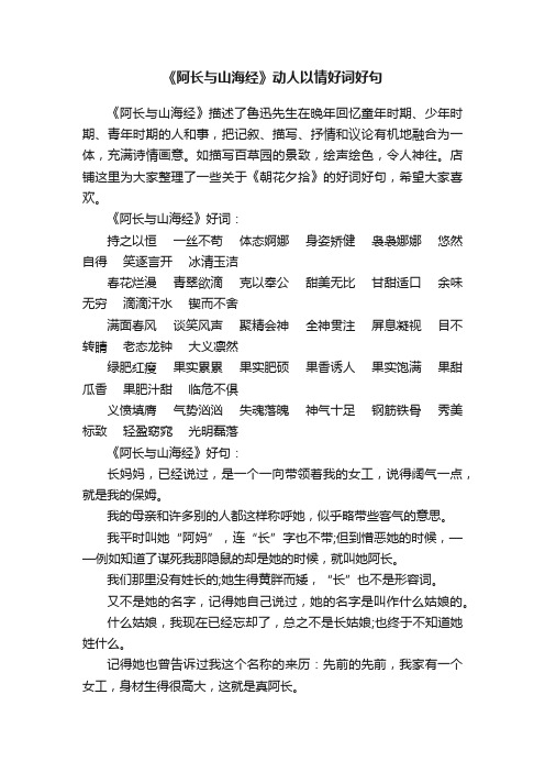 《阿长与山海经》动人以情好词好句