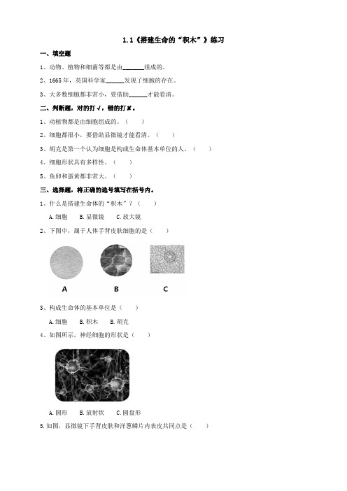 苏教版科学五年级下册  《搭建生命体的“积木”》练习(含答案)