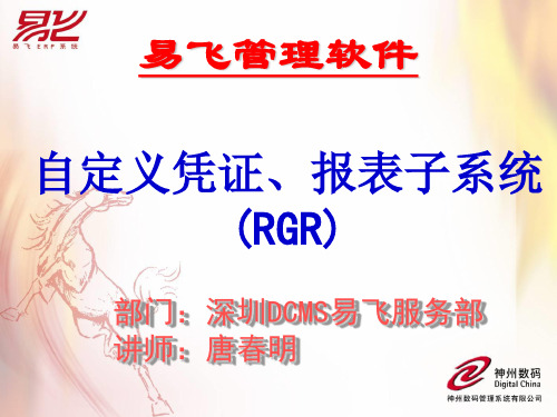 易飞管理软件--自定义凭证、报表子系统(RGR)