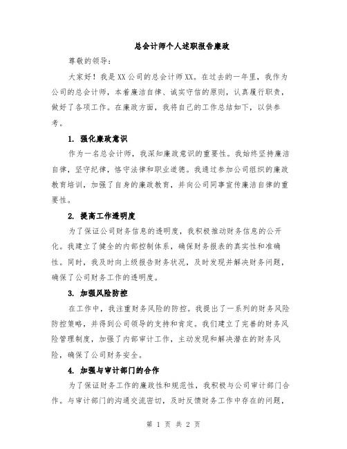 总会计师个人述职报告廉政