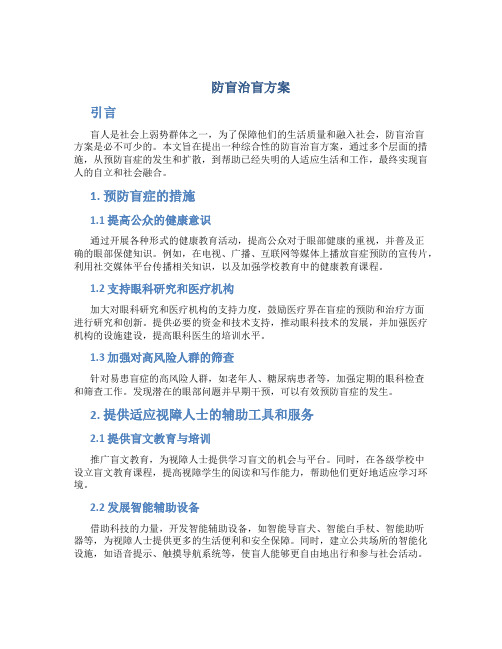 防盲治盲方案