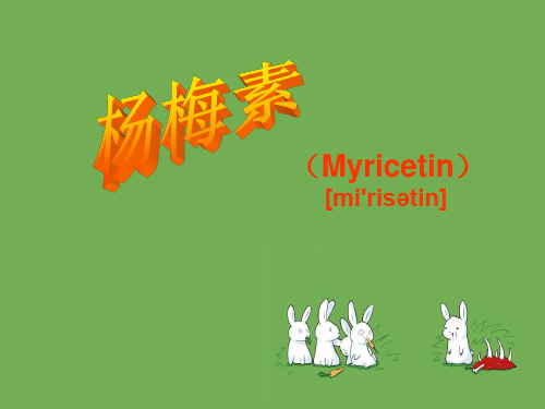 杨梅素