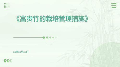 富贵竹的栽培管理措施