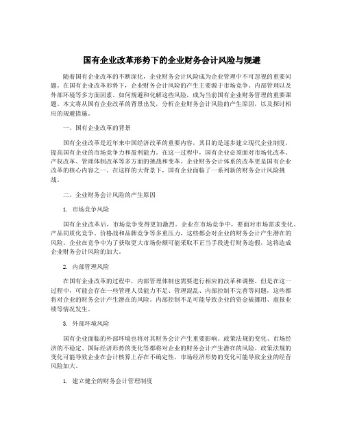 国有企业改革形势下的企业财务会计风险与规避