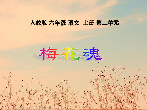 人教版梅花魂PPT教学课件