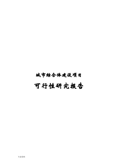 城市综合体建设项目可行性研究报告