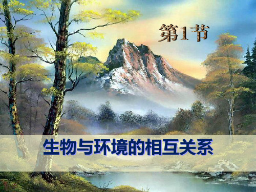 浙教版九年级科学下册 (生物与环境的关系)课件