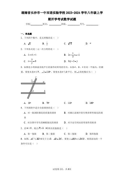 湖南省长沙市一中双语实验学校2023-2024学年八年级上学期开学考试数学试题