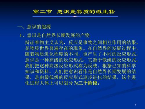 意识是物质的派生物