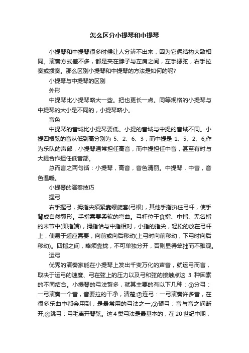 怎么区分小提琴和中提琴