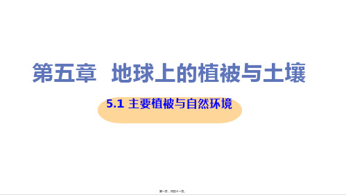 新教材人教版高中地理必修一 5-1 主要植被与自然环境 教学课件