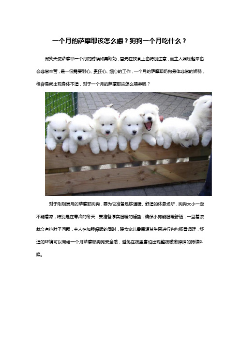 一个月的萨摩耶该怎么喂?狗狗一个月吃什么?