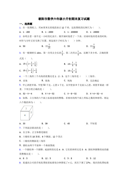 朝阳市数学六年级小升初期末复习试题