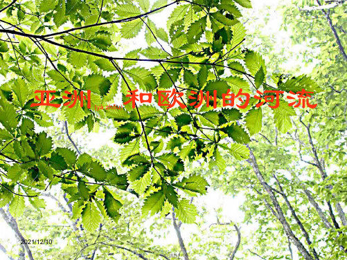 七年级地理下册6.1亚洲河流人口与国家