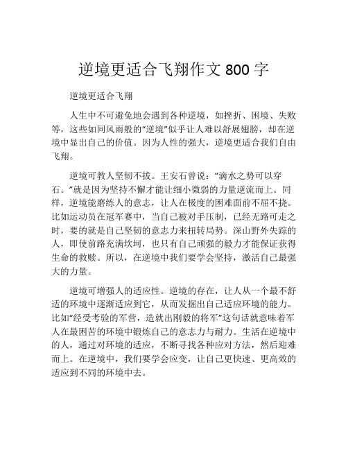 逆境更适合飞翔作文800字