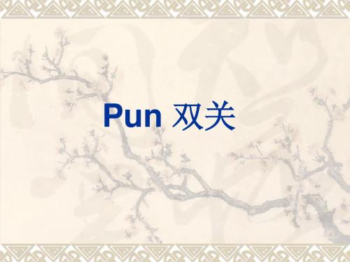 文体学-pun