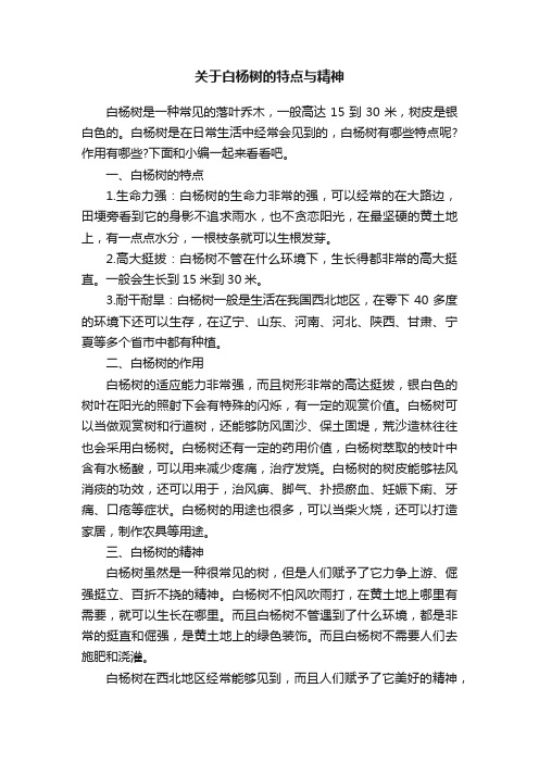 关于白杨树的特点与精神