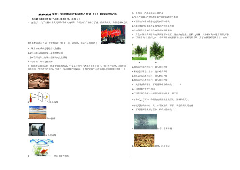 2020-2021学年山东省德州市禹城市八年级(上)期末物理试卷含解析