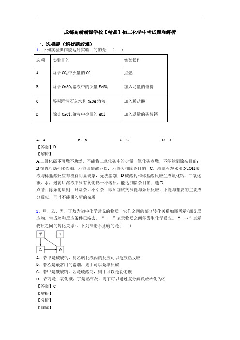 成都高新新源学校【精品】初三化学中考试题和解析