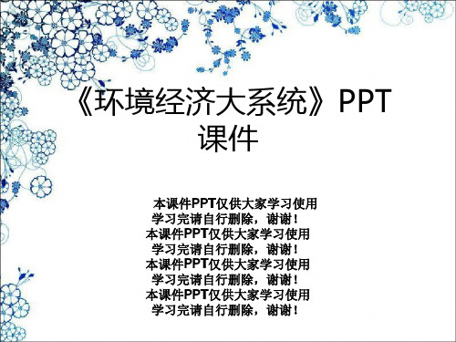 《环境经济大系统》PPT课件