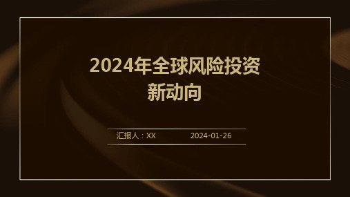 2024年全球风险投资新动向