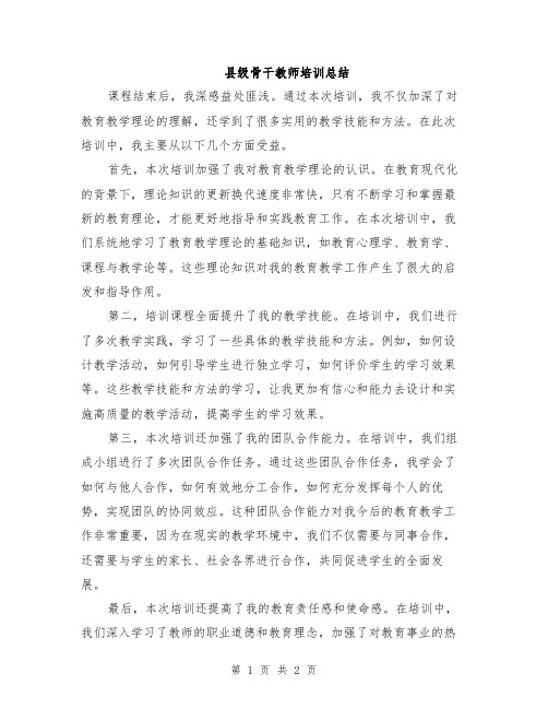 县级骨干教师培训总结