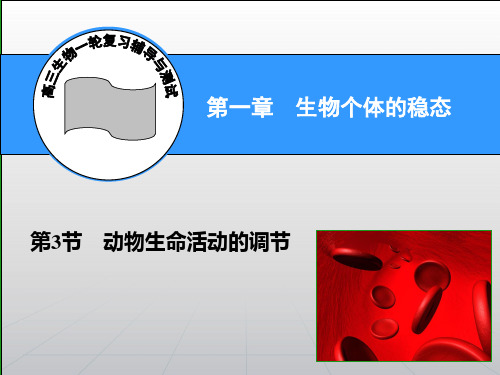【高考领航】2015高考苏教版生物新一轮总复习课件必修3 第1章 第3节 动物生命活动的调节