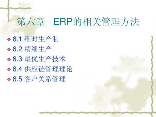 第六章 ERP的相关管理方法1