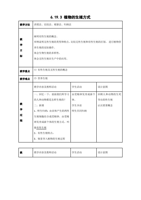 北师大版生物-八年级上册6.19.3植物的生殖方式教案