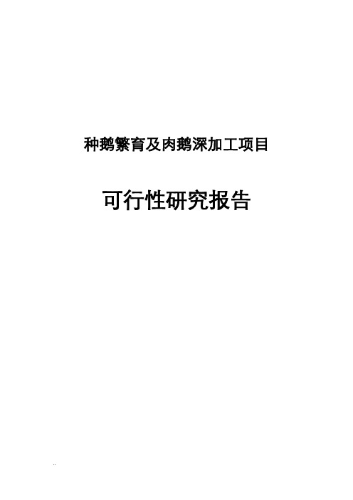 种鹅繁育及肉鹅深加工可行性研究报告