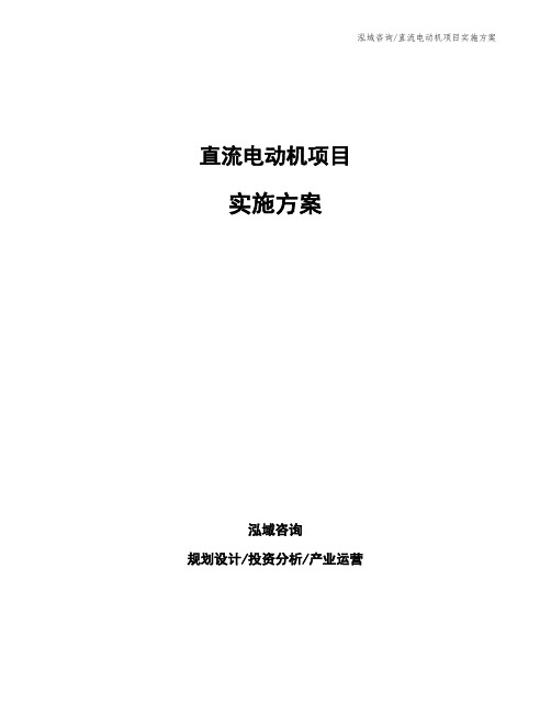 直流电动机项目实施方案