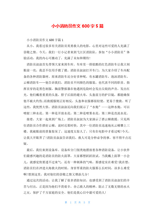 小小消防员作文600字5篇