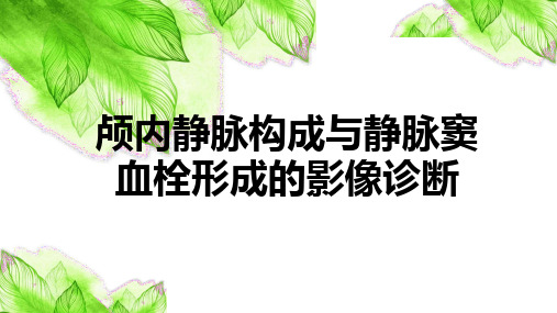 颅内静脉构成与静脉窦血栓形成的影像诊断