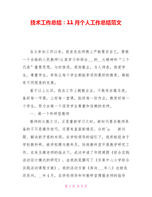 技术工作总结：11月个人工作总结范文