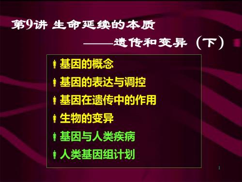 09讲-生命延续的本质-遗传与变异2-PPT文档资料