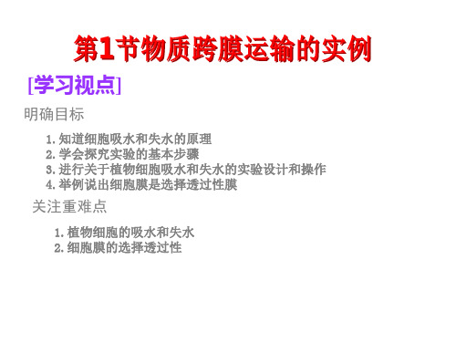 【天成教育】年高中生物必修一同步课件第节物质跨膜运输的实例.