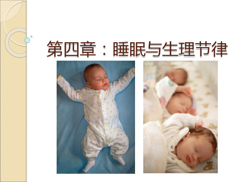 第四章：睡眠与生理节律PPT课件