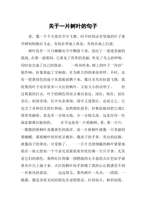 关于一片树叶的句子