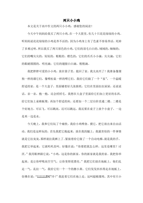 两只小小鸡_高中作文