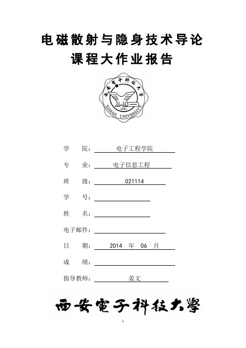 西电电磁散射与隐身技术导论大作业(DOC)