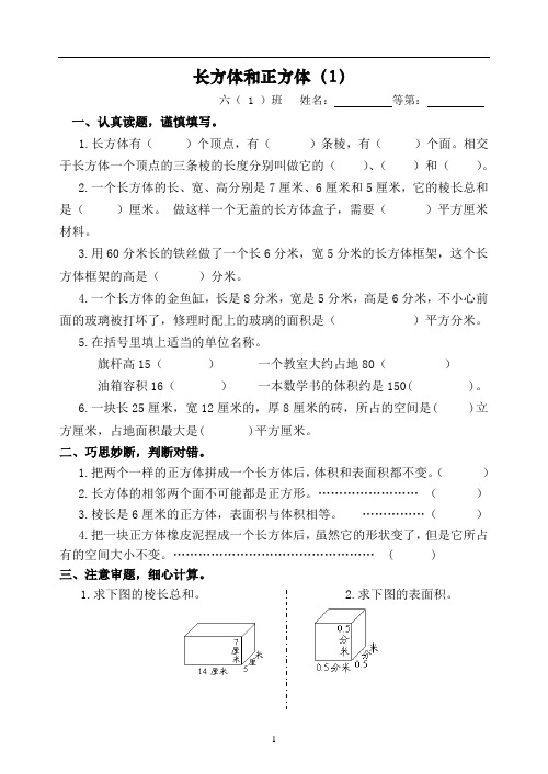 新苏教版六年级数学上册第2周周练