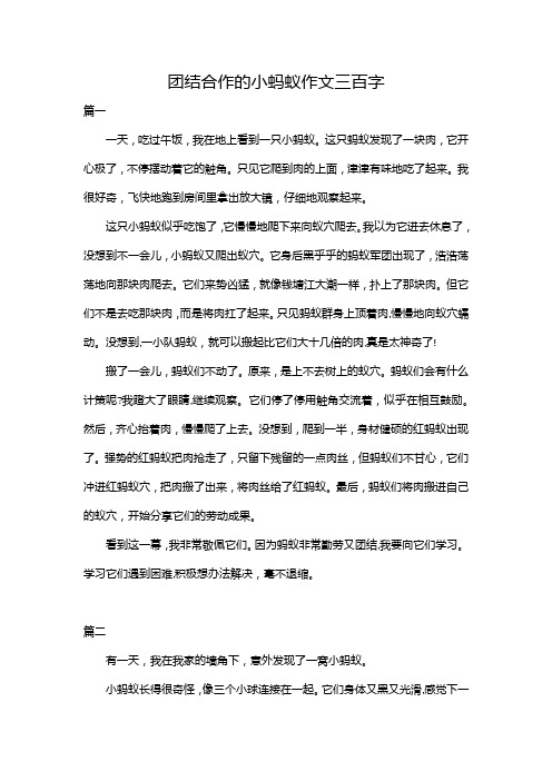 团结合作的小蚂蚁作文三百字