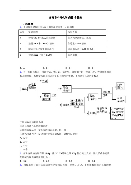 青岛市中考化学试题 含答案