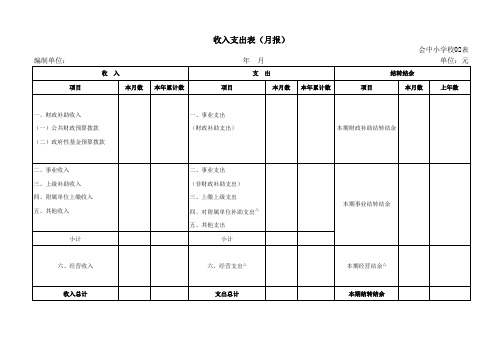 收入支出表(月报)新中小学会计报表