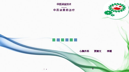 中药涂擦的治疗(6)ppt课件