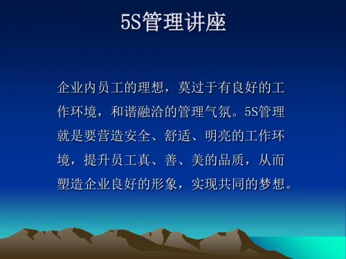 5S管理讲座(PPT 38张)