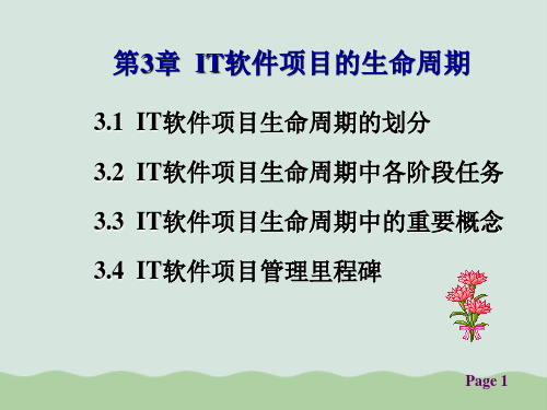 【可编辑全文】IT软件项目的生命周期PPT(共46页)