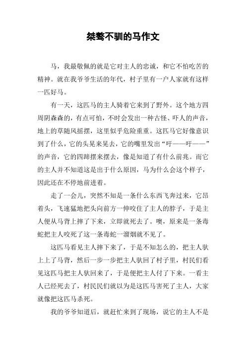 桀骜不驯的马作文
