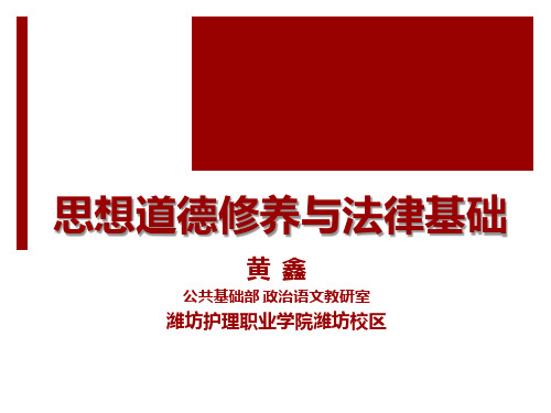 《思想道德修养与法律基础》微课之PPT—宪法、法律规定之基本法律义务