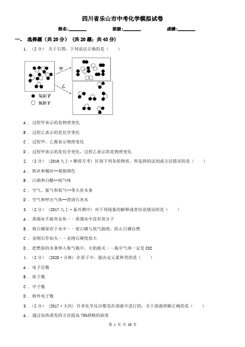 四川省乐山市中考化学模拟试卷